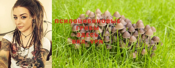 стафф Белокуриха