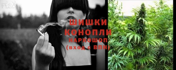 стафф Белокуриха
